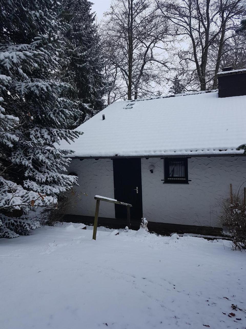 Ferienhaus Ammermann Lissendorf Zewnętrze zdjęcie
